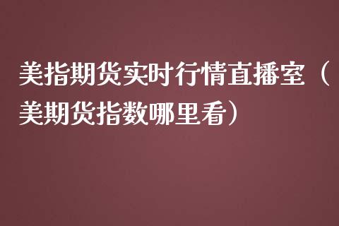 美指期货实时行情直播室（美期货指数哪里看）_https://www.kuaijiepai.net_期货在线_第1张