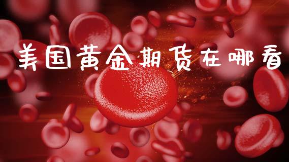 美国黄金期货在哪看_https://www.kuaijiepai.net_国际期货_第1张