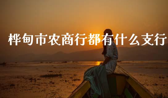 桦甸市农商行都有什么支行_https://www.kuaijiepai.net_国际股建_第1张