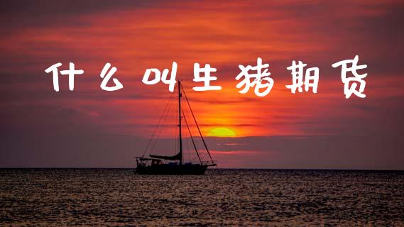 什么叫生猪期货_https://www.kuaijiepai.net_国际期货_第1张