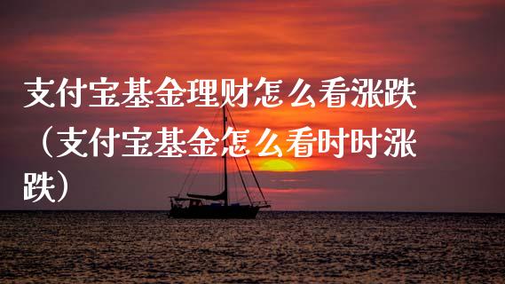 支付宝基金理财怎么看涨跌（支付宝基金怎么看时时涨跌）_https://www.kuaijiepai.net_投资理财_第1张