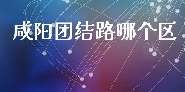 咸阳团结路哪个区_https://www.kuaijiepai.net_新股新闻_第1张
