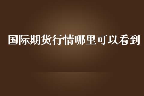 国际期货行情哪里可以看到_https://www.kuaijiepai.net_国际期货_第1张