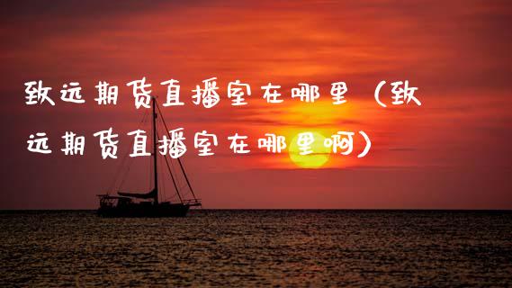 致远期货直播室在哪里（致远期货直播室在哪里啊）_https://www.kuaijiepai.net_期货在线_第1张