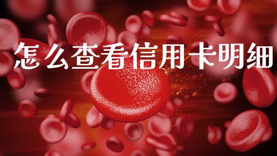怎么查看信用卡明细_https://www.kuaijiepai.net_期货在线_第1张
