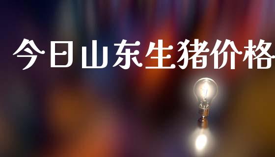 今日山东生猪价格_https://www.kuaijiepai.net_期货资讯_第1张
