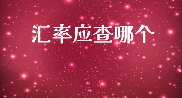 汇率应查哪个_https://www.kuaijiepai.net_期货资讯_第1张