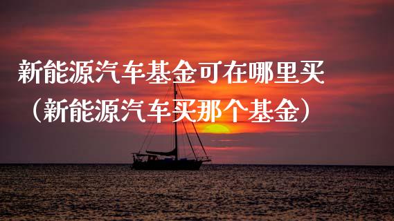 新能源汽车基金可在哪里买（新能源汽车买那个基金）_https://www.kuaijiepai.net_期货理财_第1张