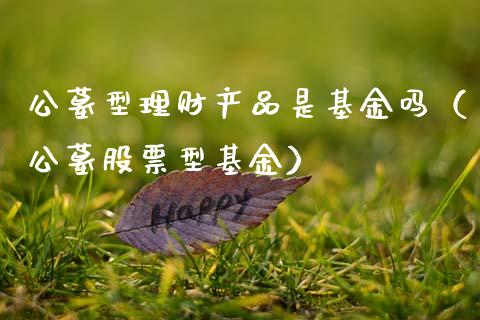 公墓型理财产品是基金吗（公墓股票型基金）_https://www.kuaijiepai.net_投资理财_第1张