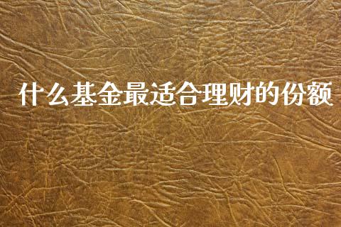 什么基金最适合理财的份额_https://www.kuaijiepai.net_投资理财_第1张