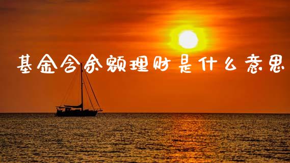 基金含余额理财是什么意思_https://www.kuaijiepai.net_投资理财_第1张