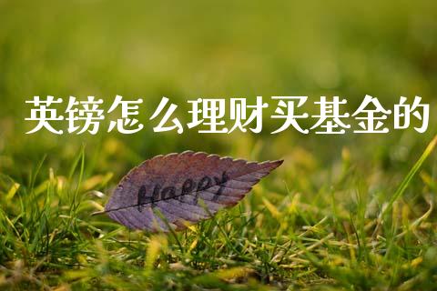 英镑怎么理财买基金的_https://www.kuaijiepai.net_期货理财_第1张