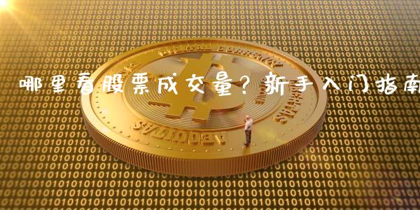哪里看股票成交量？新手入门指南_https://www.kuaijiepai.net_投资理财_第1张
