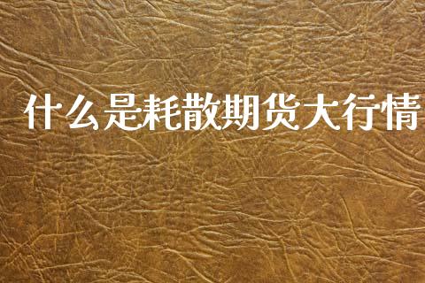 什么是耗散期货大行情_https://www.kuaijiepai.net_期货资讯_第1张