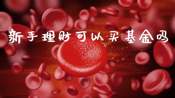 新手理财可以买基金吗_https://www.kuaijiepai.net_期货理财_第1张