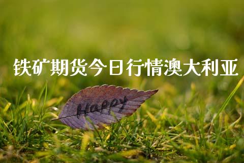 铁矿期货今日行情澳大利亚_https://www.kuaijiepai.net_期货在线_第1张