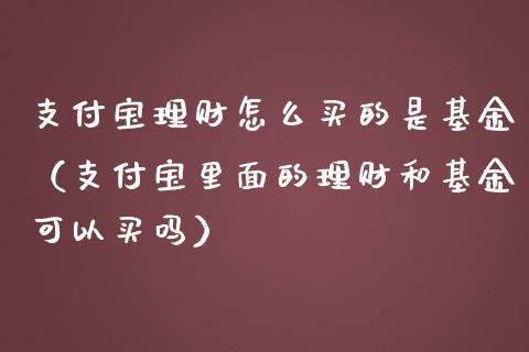 支付宝理财怎么买的是基金（支付宝里面的理财和基金可以买吗）_https://www.kuaijiepai.net_期货理财_第1张