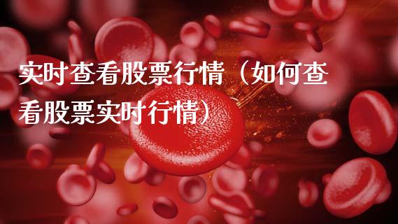 实时查看股票行情（如何查看股票实时行情）_https://www.kuaijiepai.net_国际股建_第1张