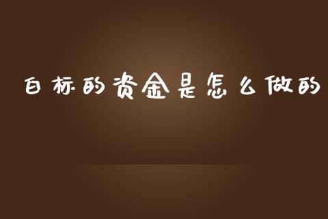 白标的资金是怎么做的_https://www.kuaijiepai.net_期货在线_第1张
