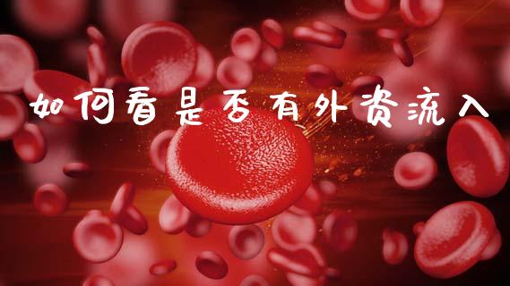 如何看是否有外资流入_https://www.kuaijiepai.net_国际股建_第1张