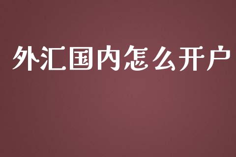 外汇国内怎么开户_https://www.kuaijiepai.net_新股新闻_第1张