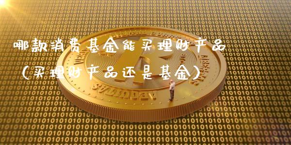 哪款消费基金能买理财产品（买理财产品还是基金）_https://www.kuaijiepai.net_期货理财_第1张