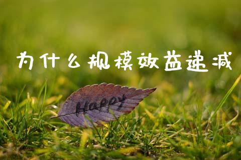 为什么规模效益递减_https://www.kuaijiepai.net_期货理财_第1张