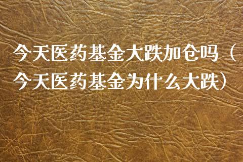 今天医药基金大跌加仓吗（今天医药基金为什么大跌）_https://www.kuaijiepai.net_投资理财_第1张