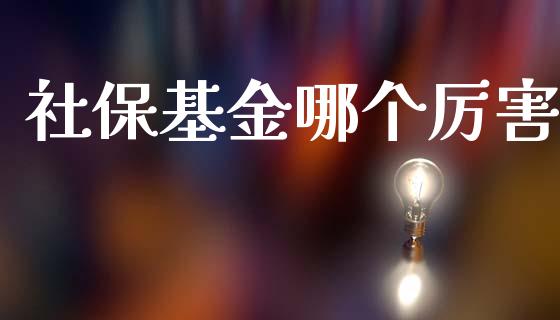 社保基金哪个厉害_https://www.kuaijiepai.net_股票理论_第1张