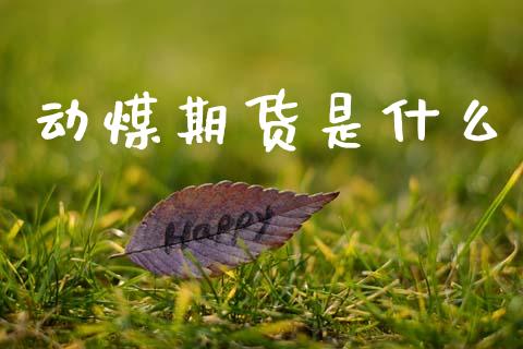 动煤期货是什么_https://www.kuaijiepai.net_国际期货_第1张