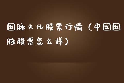 国脉文化股票行情（中国国脉股票怎么样）_https://www.kuaijiepai.net_股票理论_第1张