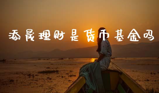 添晟理财是货币基金吗_https://www.kuaijiepai.net_投资理财_第1张
