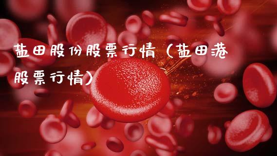 盐田股份股票行情（盐田港股票行情）_https://www.kuaijiepai.net_国际股建_第1张