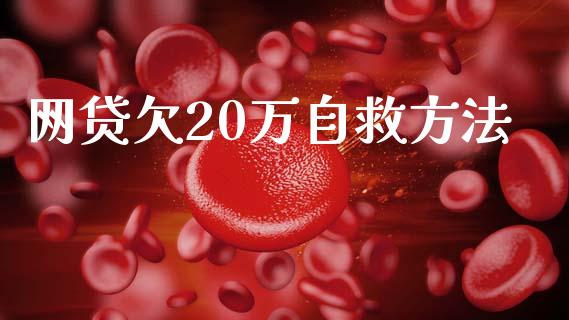 网贷欠20万自救方法_https://www.kuaijiepai.net_期货资讯_第1张