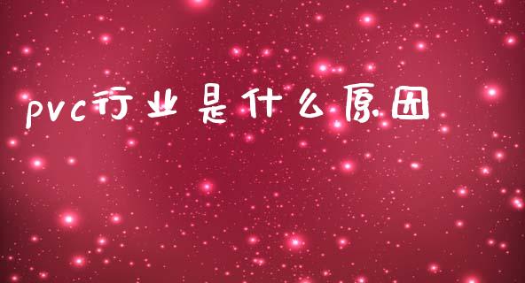pvc行业是什么原因_https://www.kuaijiepai.net_期货资讯_第1张