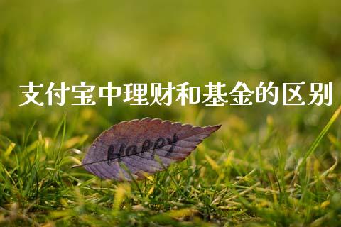 支付宝中理财和基金的区别_https://www.kuaijiepai.net_投资理财_第1张