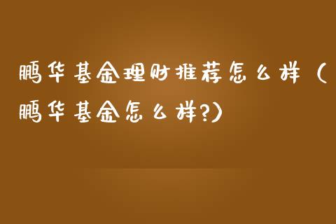 鹏华基金理财推荐怎么样（鹏华基金怎么样?）_https://www.kuaijiepai.net_投资理财_第1张