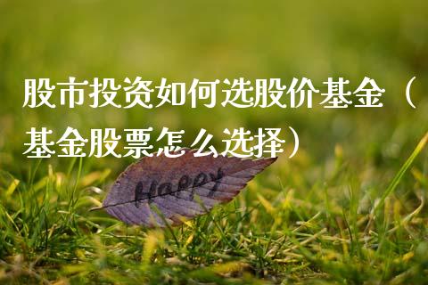 股市投资如何选股价基金（基金股票怎么选择）_https://www.kuaijiepai.net_期货理财_第1张