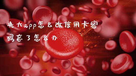 光大app怎么改信用卡密码忘了怎么办_https://www.kuaijiepai.net_期货理财_第1张