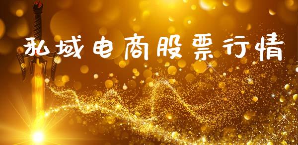 私域电商股票行情_https://www.kuaijiepai.net_股票理论_第1张