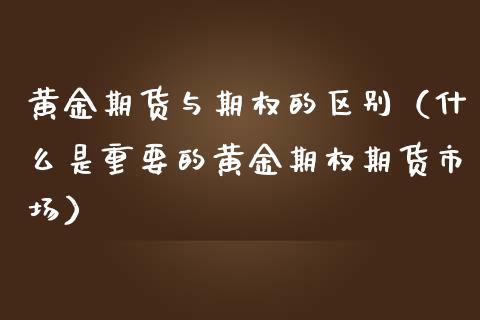 黄金期货与期权的区别（什么是重要的黄金期权期货市场）_https://www.kuaijiepai.net_国际期货_第1张