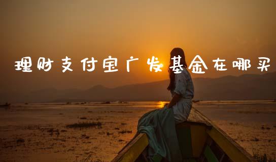 理财支付宝广发基金在哪买_https://www.kuaijiepai.net_期货理财_第1张