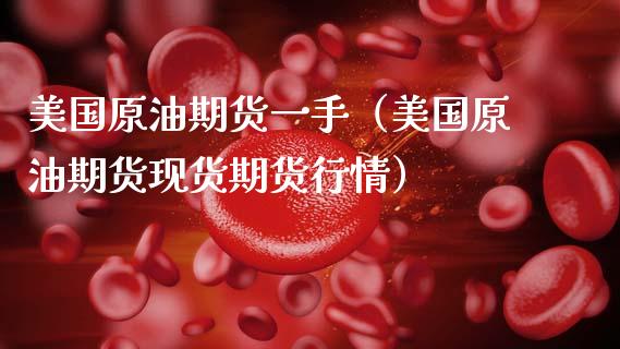 美国原油期货一手（美国原油期货现货期货行情）_https://www.kuaijiepai.net_国际期货_第1张