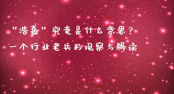 “浩嘉”究竟是什么意思？一个行业老兵的观察与解读_https://www.kuaijiepai.net_股票理论_第1张