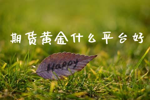 期货黄金什么平台好_https://www.kuaijiepai.net_期货资讯_第1张