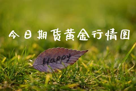今日期货黄金行情图_https://www.kuaijiepai.net_期货在线_第1张