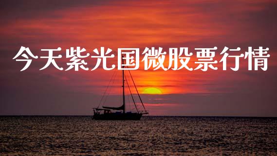 今天紫光国微股票行情_https://www.kuaijiepai.net_新股新闻_第1张