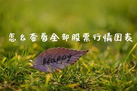 怎么查看全部股票行情图表_https://www.kuaijiepai.net_新股新闻_第1张