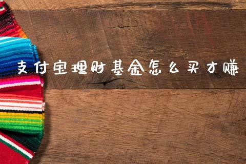 支付宝理财基金怎么买才赚_https://www.kuaijiepai.net_投资理财_第1张