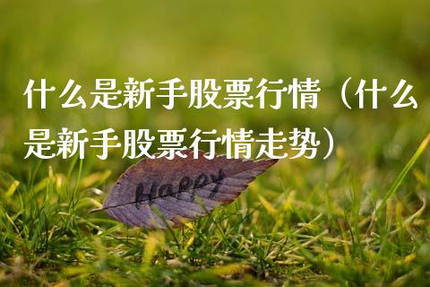 什么是新手股票行情（什么是新手股票行情走势）_https://www.kuaijiepai.net_新股新闻_第1张